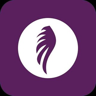 Angelvoice✨ logo