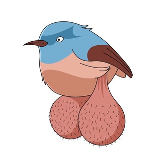 BIG BALLS BIRDS BOT logo