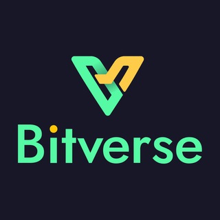 Bitverse Dollar logo