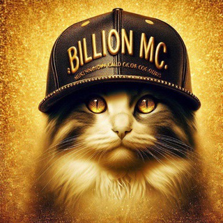 bmcats logo