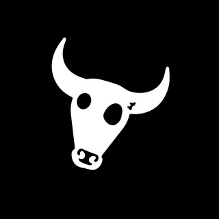 BULLS 𓃓 logo