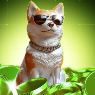 DogeStar logo