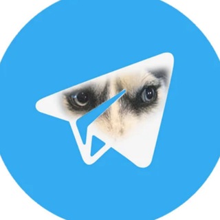 DOGWIFHOOD logo