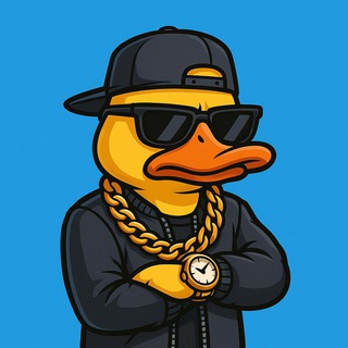 DuckyStars | Звёзды и Подарки от Ducky logo