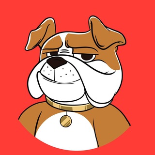 DUDE logo