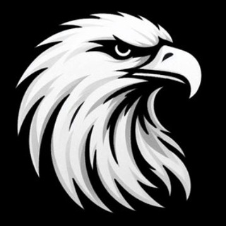 Eagle 🦅 logo