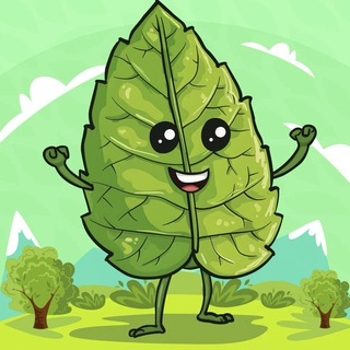 $GREEN COIN MEME | SOL logo