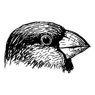 Lang Blocker Bot logo
