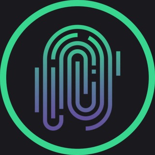 NETZ.RUN VPN logo