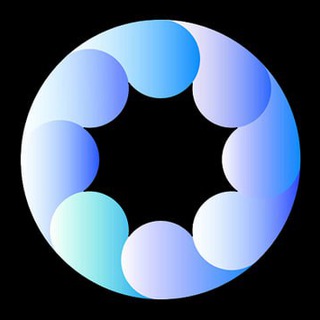 OPTON logo