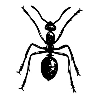 OrgRobot logo