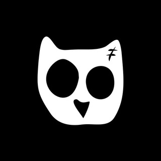 Owls 🦉 logo