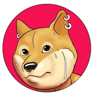PhysicalDoge Airdrop logo