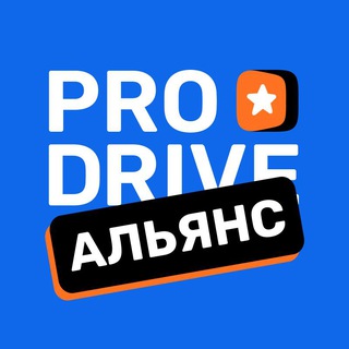 🚛 ProDrive🛞 logo