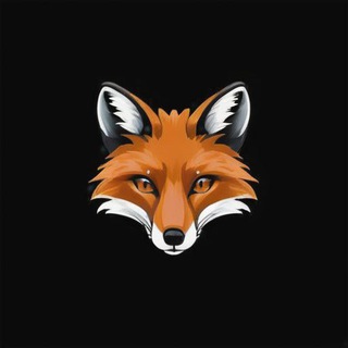 REWARDO logo