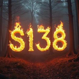 S138 Flux logo