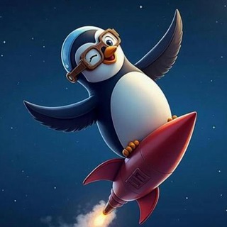 Shkipper Penguins logo