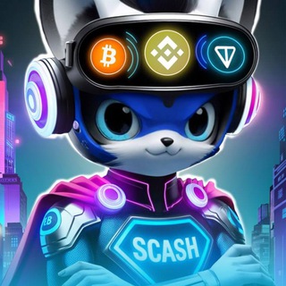 SoniCash logo