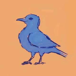 soroka-notes logo