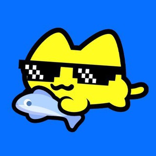 Stoopid Cats logo