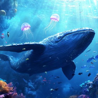 Tap Whale logo