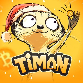 Timon logo