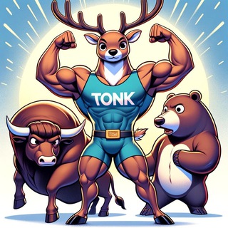 TONKING Network logo