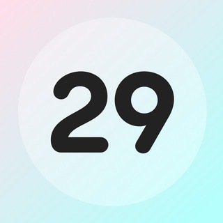 Twenty Nine VPN logo