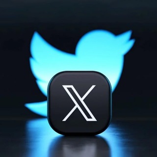 Twitter (𝕏) Media Downloader دانلود از ایکس و توییتر logo