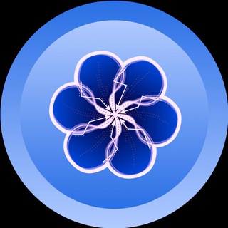 Voyager logo