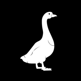 VPN Fast Goose 🪿 logo