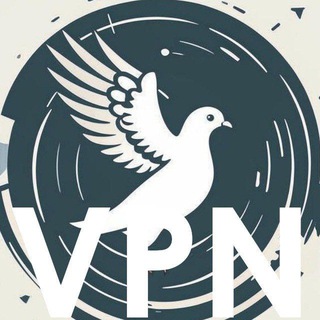 VPN ВПН→🌎 logo