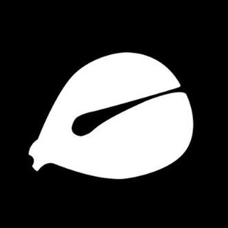 Wooden Fish bot logo